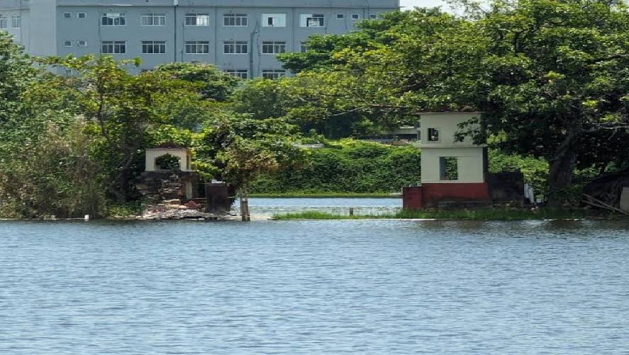 Mieu-con-hen-1