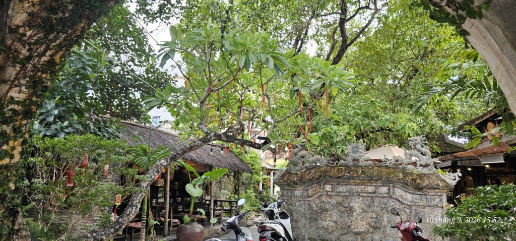 cafe-ton-nu-vien (2)